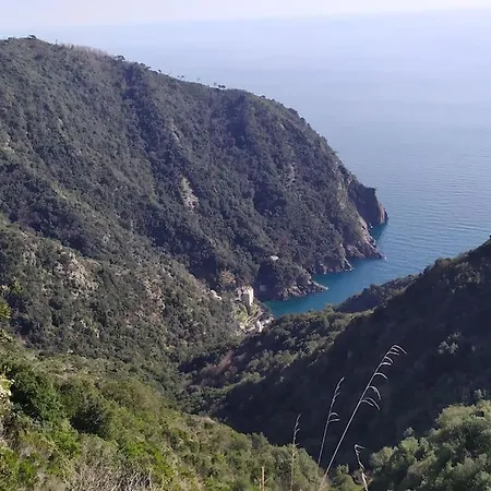 Casa Al Mare A Lägenhet Recco